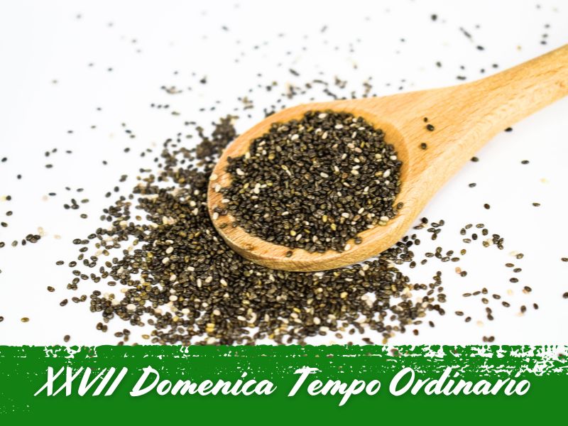 La forza della fede