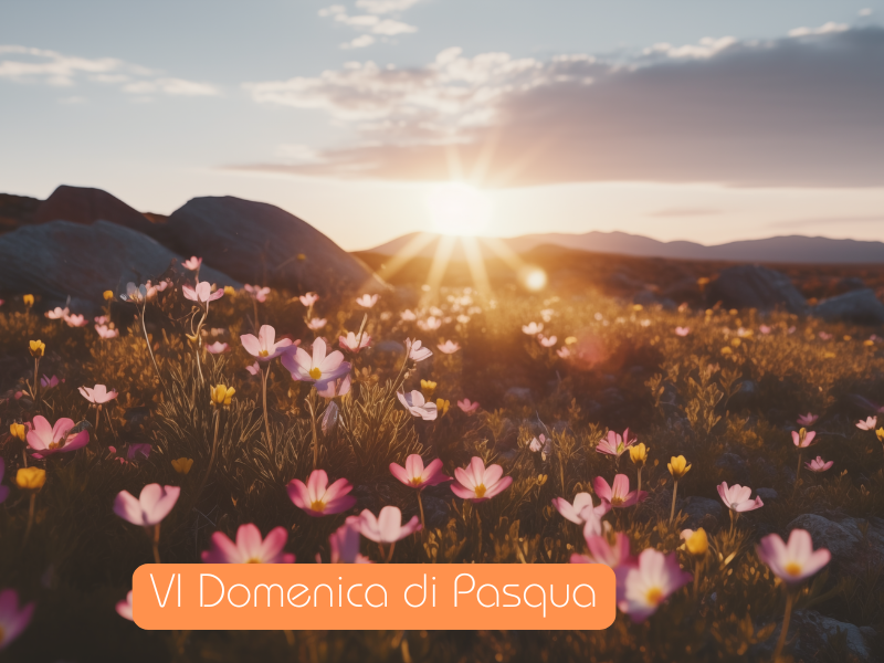 Domenica della Promessa